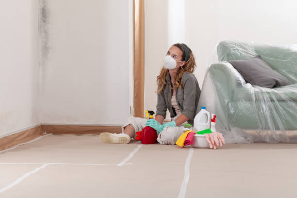 Reliable Mold Remediation contractor in Portsmouth, VA by 24 Hour Mold Removal